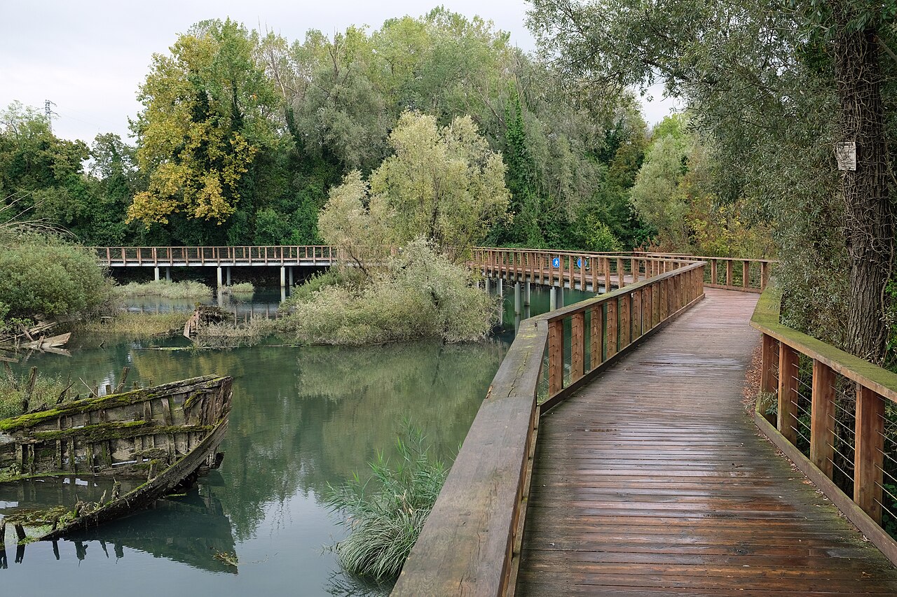 Passerella in legno sul fiume Sile, tra alberi e vegetazione, a Casier